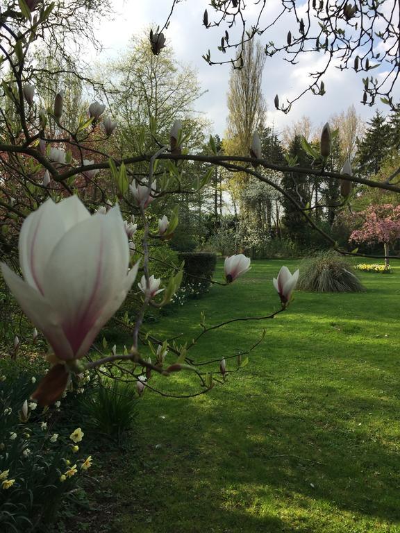 Le Domaine Des Loups Hotel Souchez Eksteriør billede